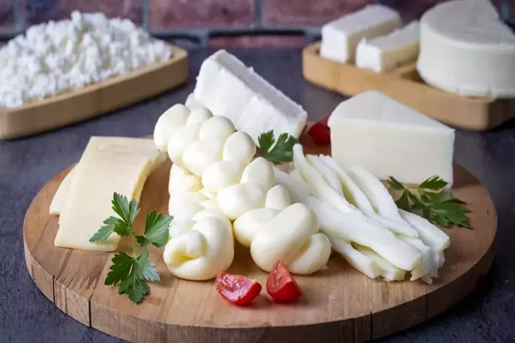 Kayseri Peynir Çeşitleri